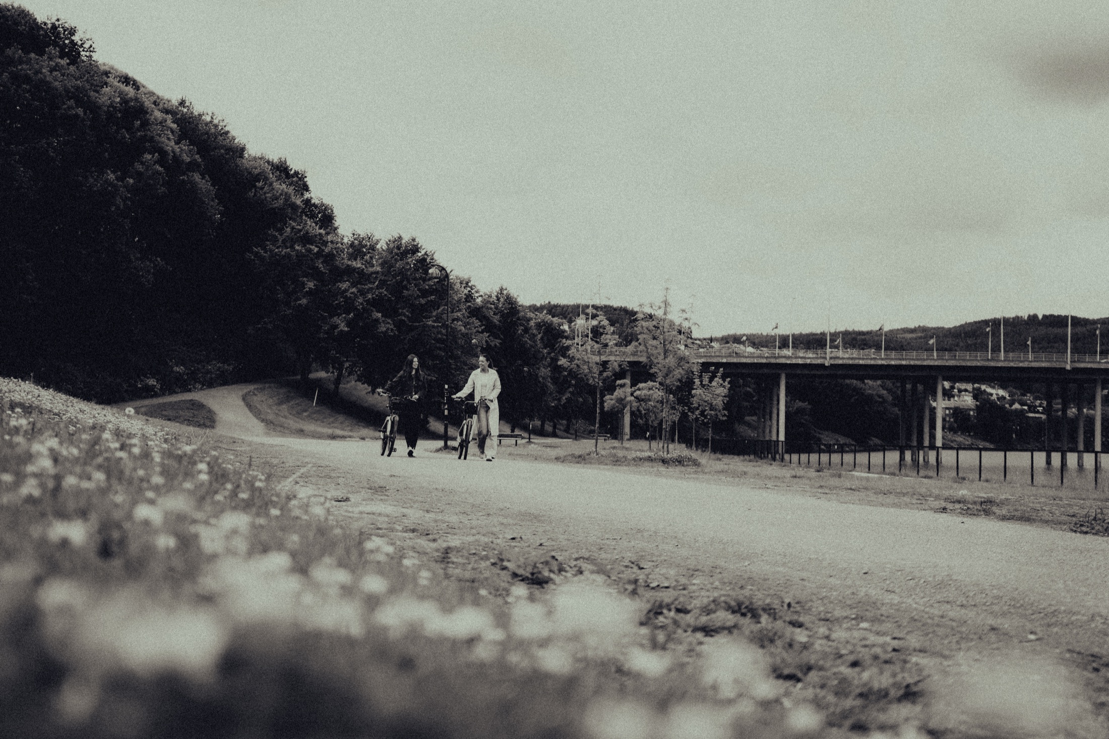 Cyclist moving through an open landscape